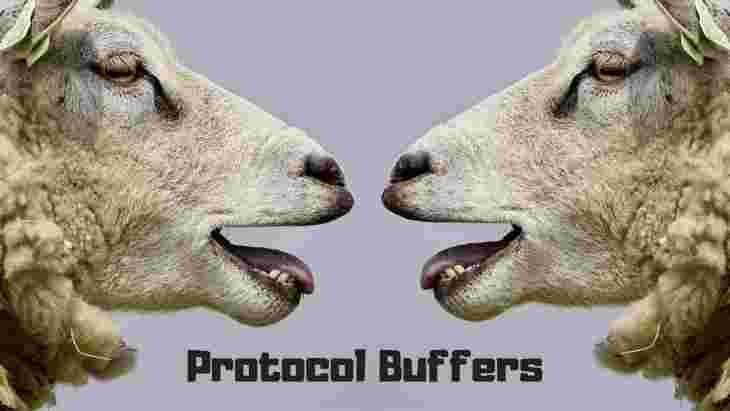 Sheep with Protobuf